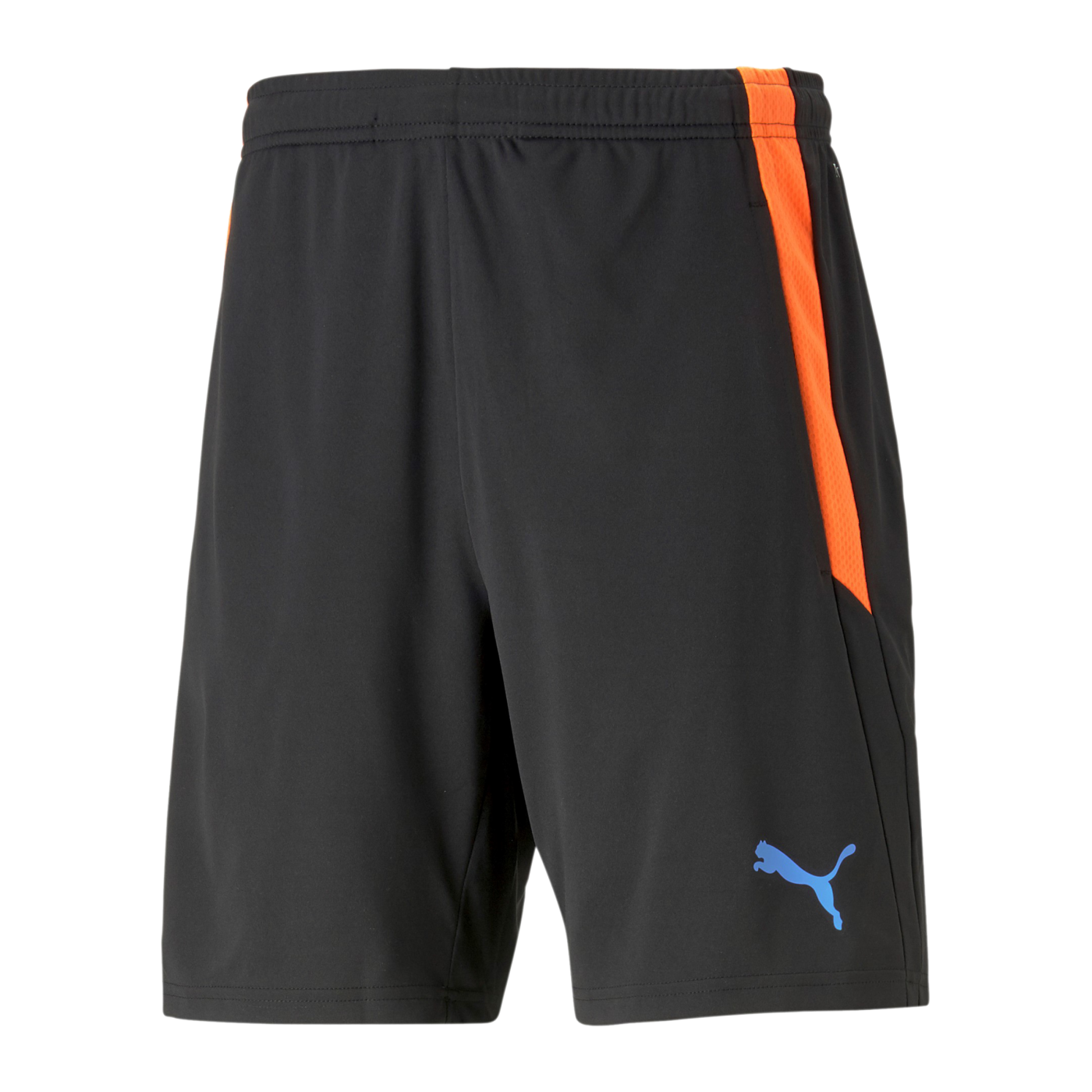 PUMA teamLIGA Short 2 Schwarz F50