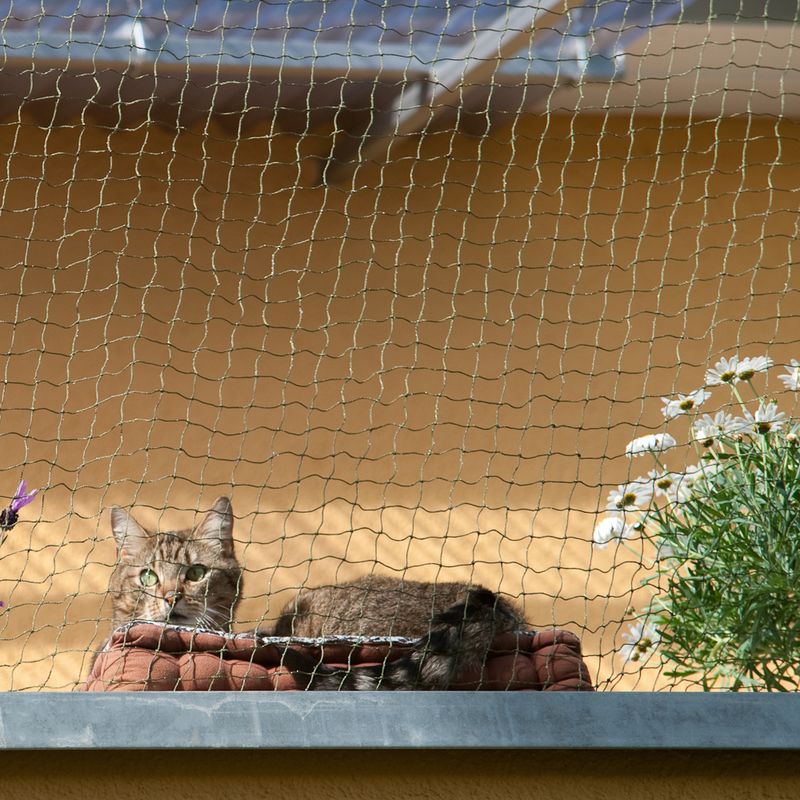 Katzenschutznetz mit Drahtverstärkung zu TOP-Preisen | bitiba %