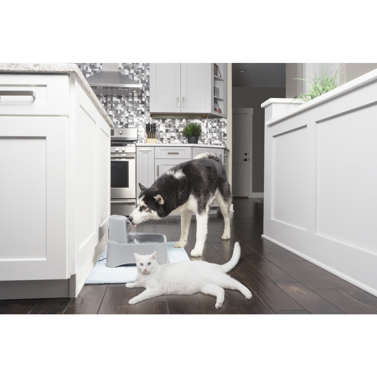 PetSafe Trinkbrunnen PetSafe Trinkbrunnen 7,5 l