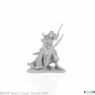 Aravir, Elf Ranger