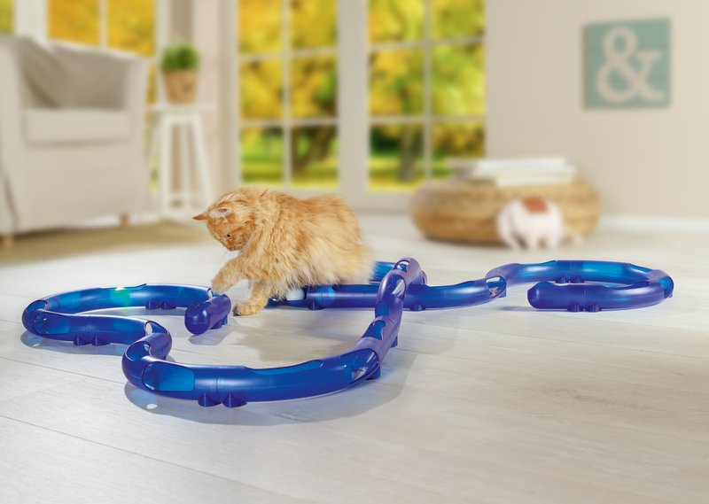 AniOne Intelligenzspielzeug AniOne Katzenbahn Rolling