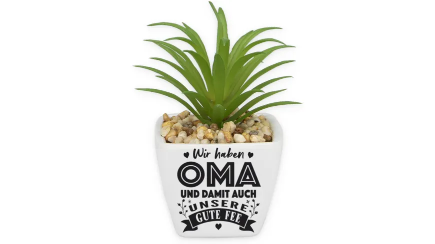 H&H Sukkulenten - Oma