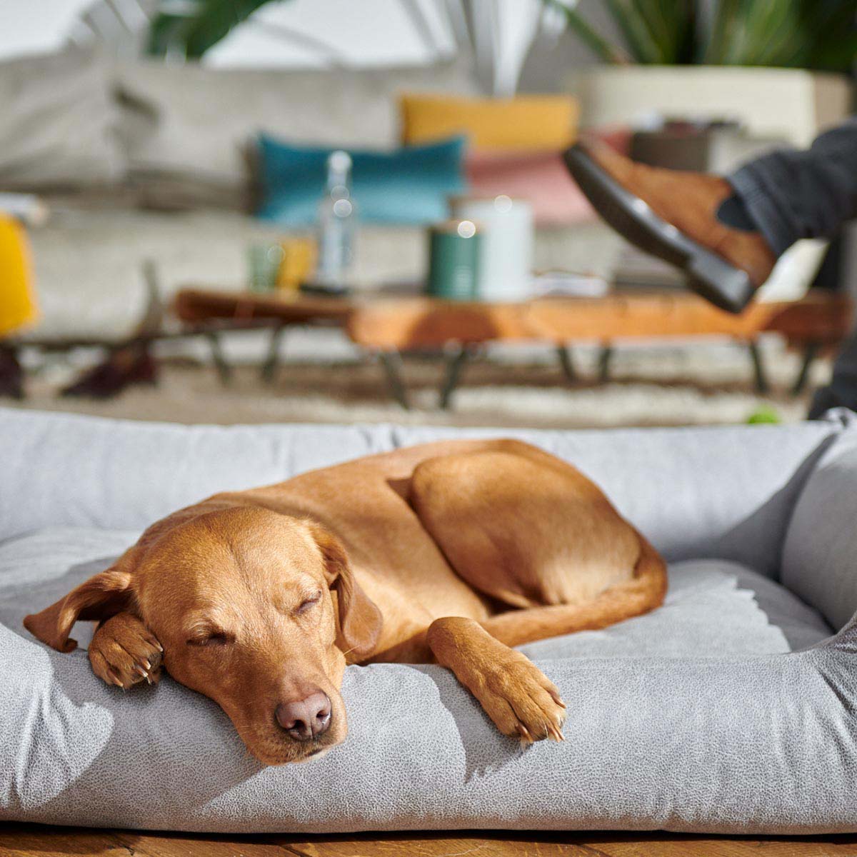 furrysoul Hundebett Emma grau günstig kaufen bei ZooRoyal