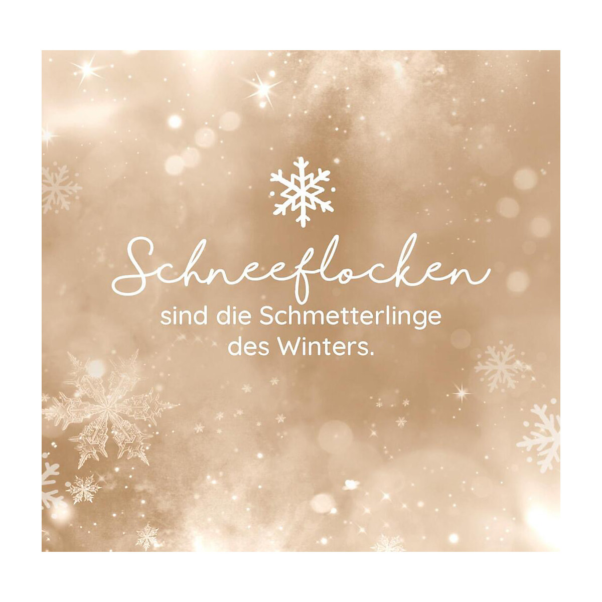 Winternacht und Schneegeflüster. Zauberhaftes zur Weihnachtszeit