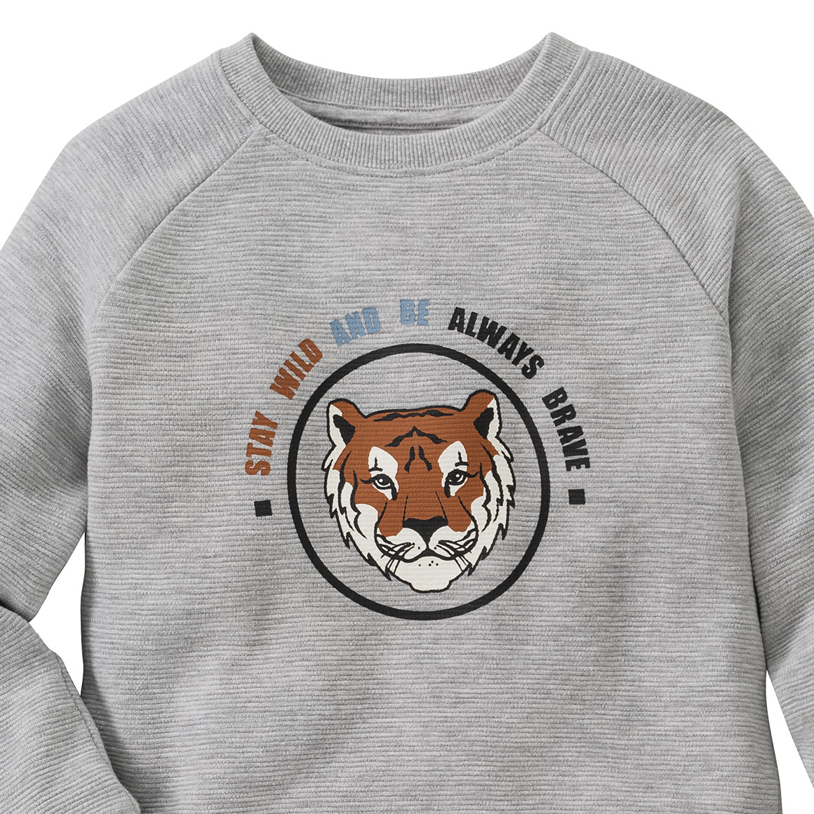 Jungen Sweatshirt mit Print