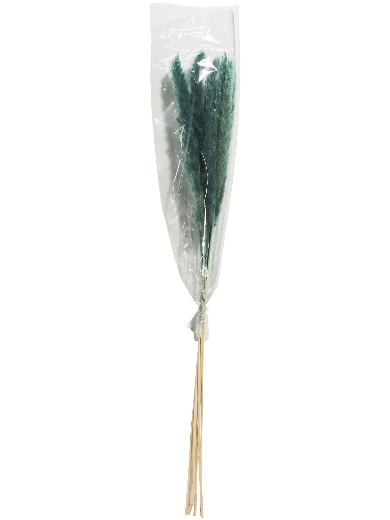 Pampasgrasbündel 6er Trockenblume, Country Blue