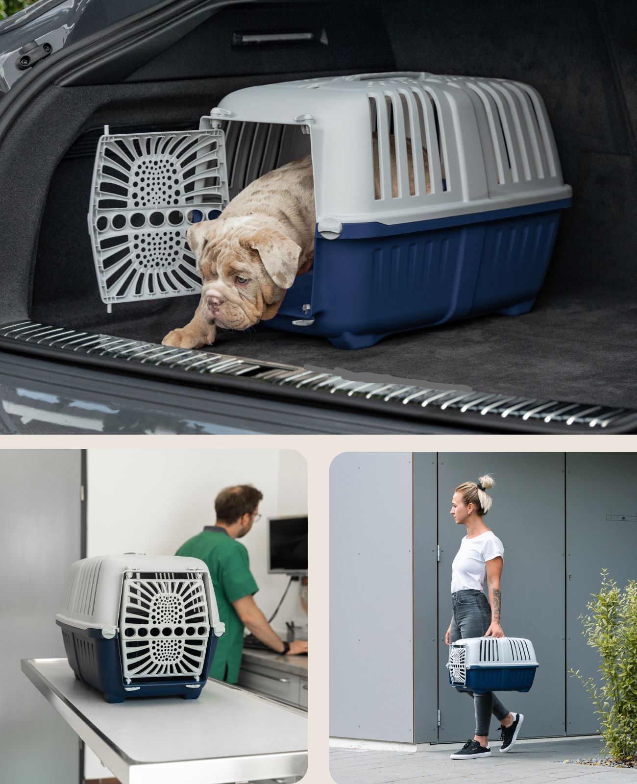 Lionto Transportboxen & Gitterboxen Lionto Transportbox aus Plastik dunkelblau M