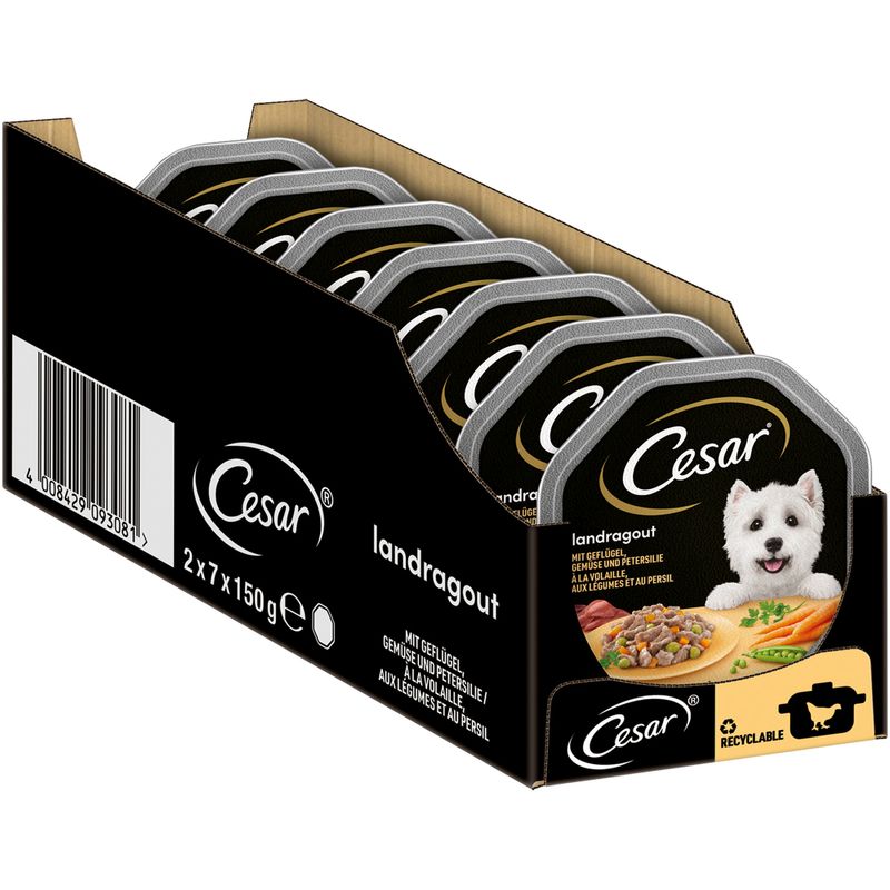 Cesar Schale 14 x 150 g