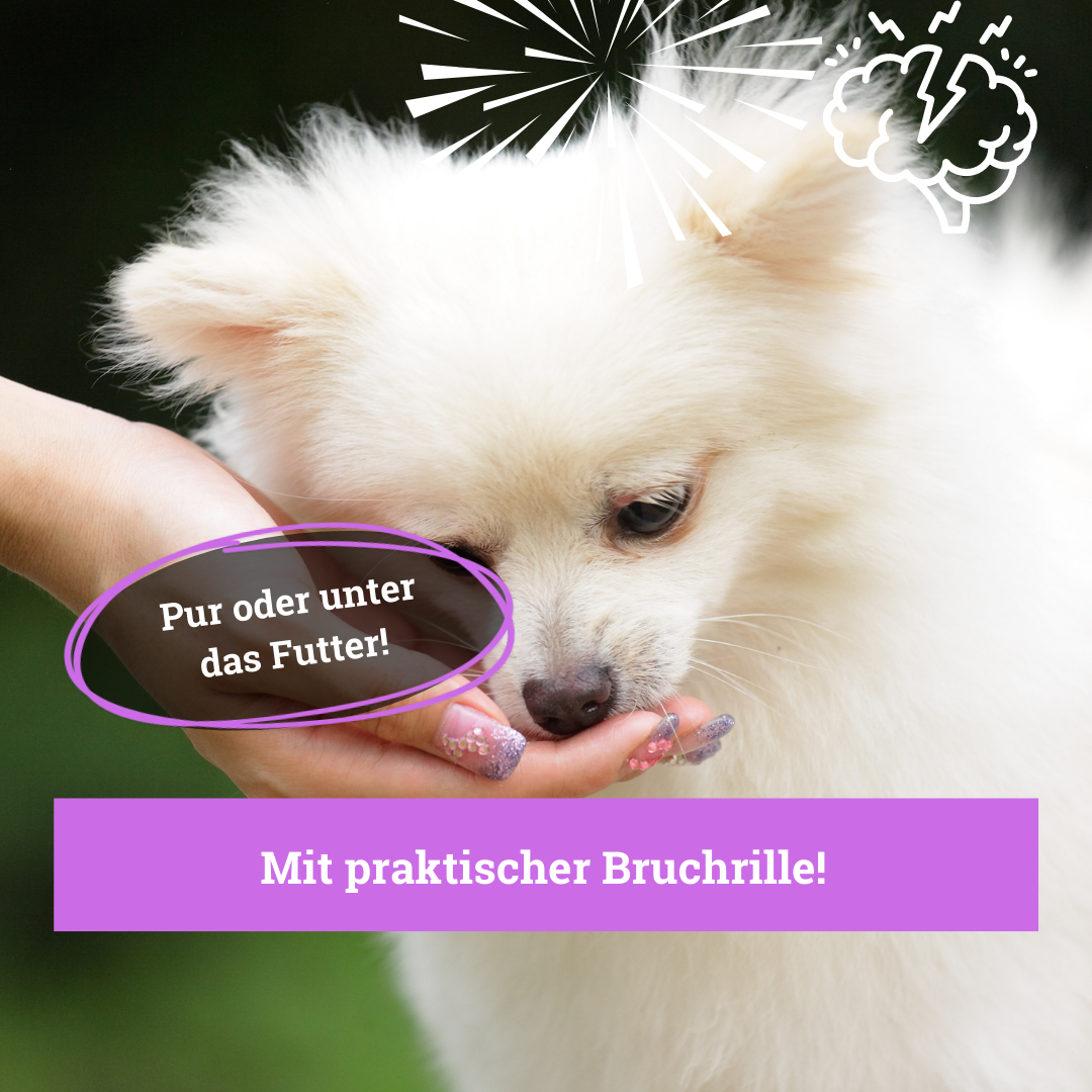 BeG Buddy Beruhigungsmittel BeG Buddy Coolness Sparset für Hunde