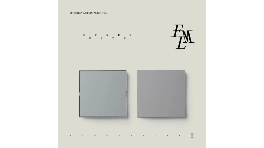 SEVENTEEN 10TH MINI ALB. FML (FALLEN, MISFIT, LOST) Version 3