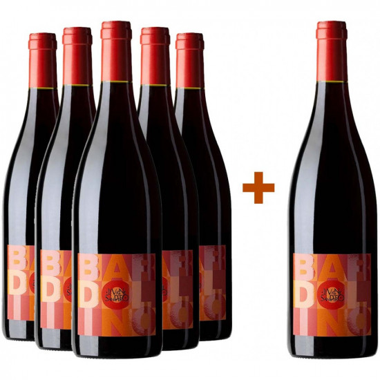 5+1 Paket Bardolino DOC - Le Vigne di San Pietro Soc. Agr. Srl