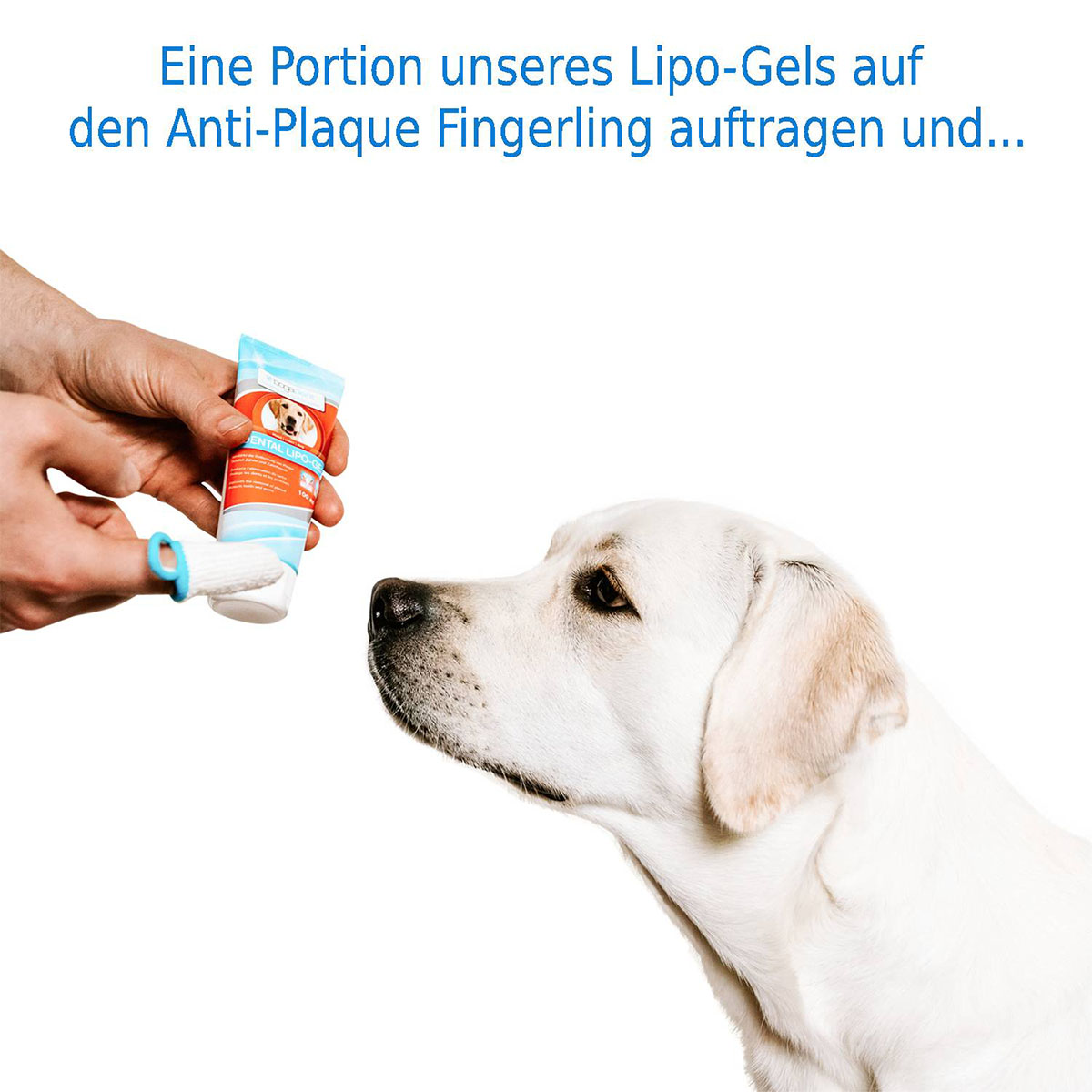 bogadent Anti-Plaque Finger Adult 2 Stück kaufen bei ZooRoyal