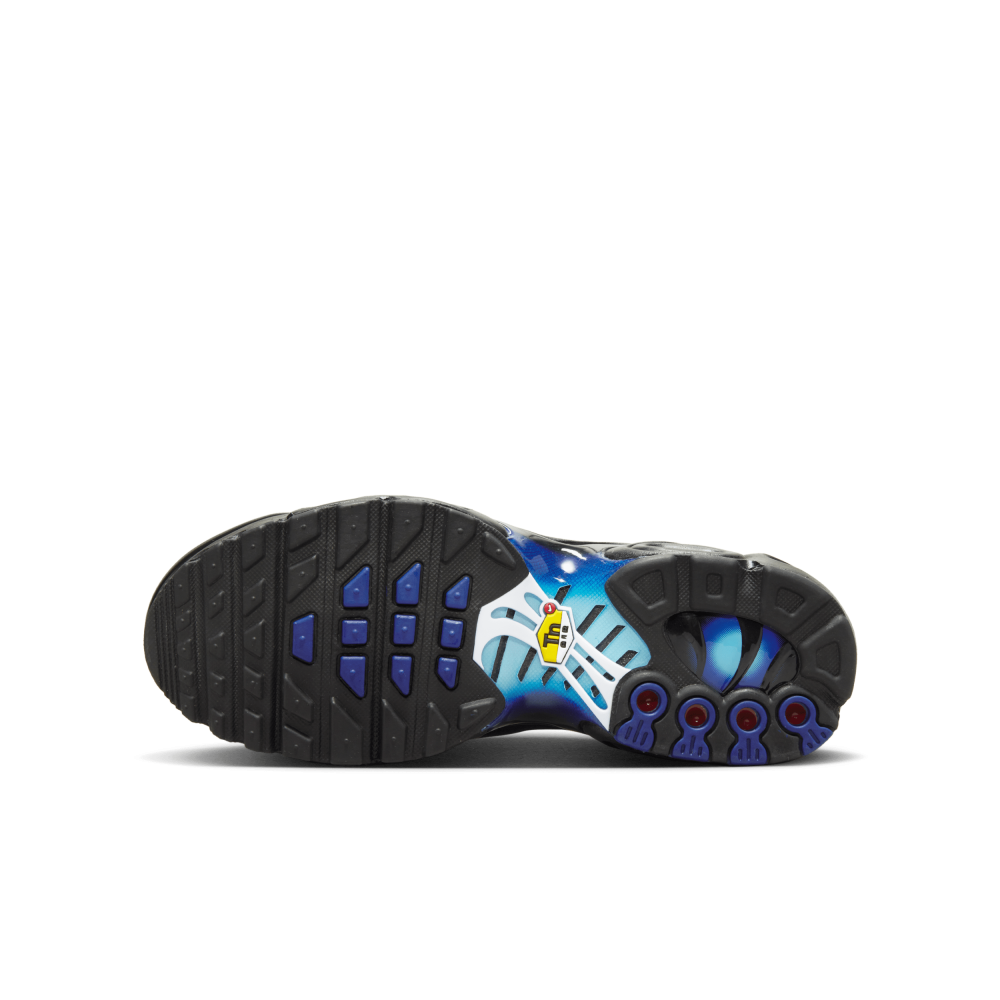 Nike Air Max Plus FQ2405-001 / schwarz