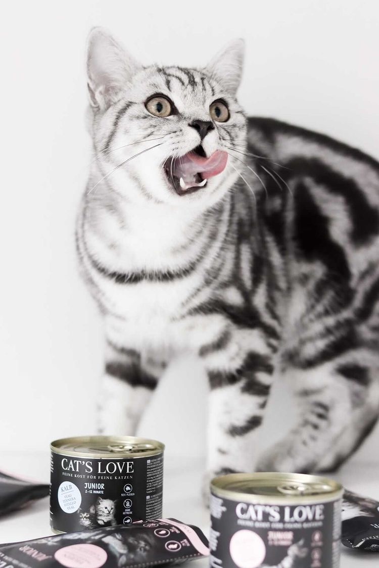 CAT'S LOVE Nassfutter CAT'S LOVE Junior 6x200g
