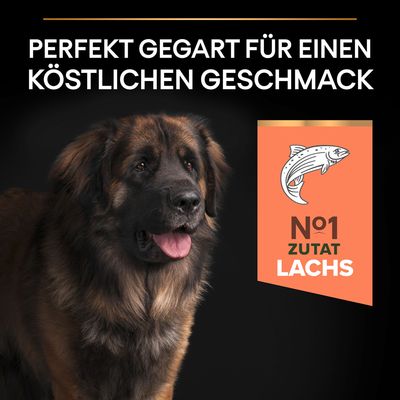 PURINA PRO PLAN Large Robust Adult Sensitive Skin Lachs