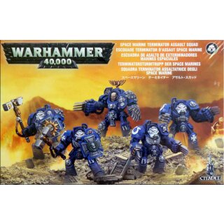 Space Marine Terminator Sturmtrupp (5 Mann) [48-34]
