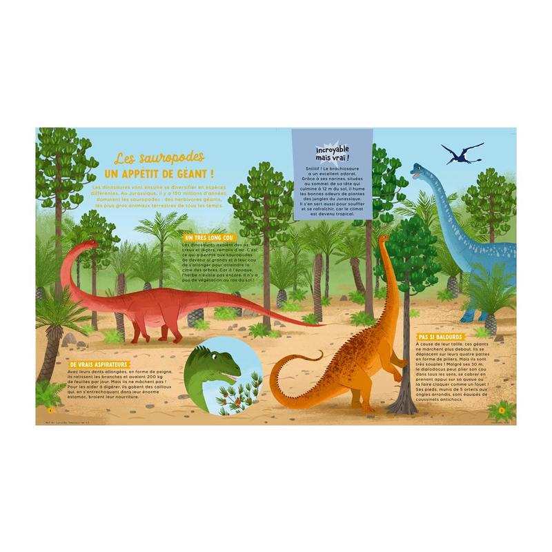 Livre Les dinosaures - Fleurus