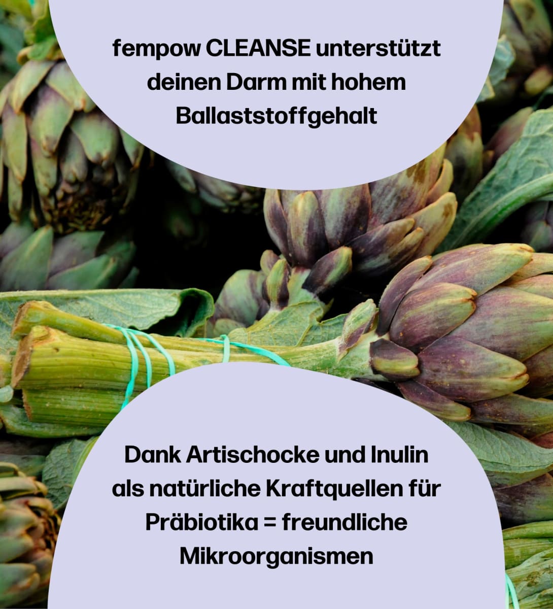 fempow Cleanse, 300 g