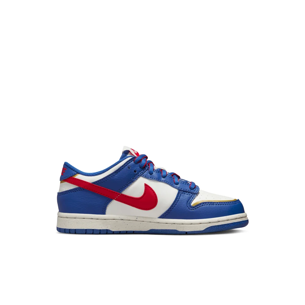 Nike Dunk Low FD0673-400 / blau