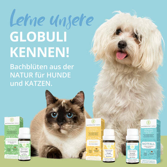 Wolfsbacher Natur Ergänzungsfutter & Aufzucht Wolfsbacher Natur Bachblüten Notfall