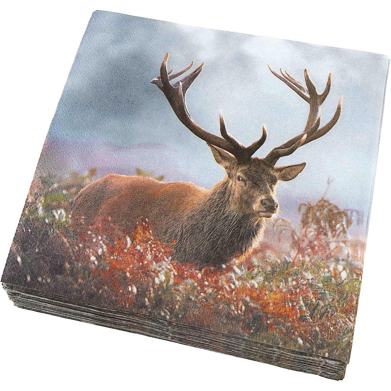 Vie Eco Servietter 20-pk 33x33 cm, Høst