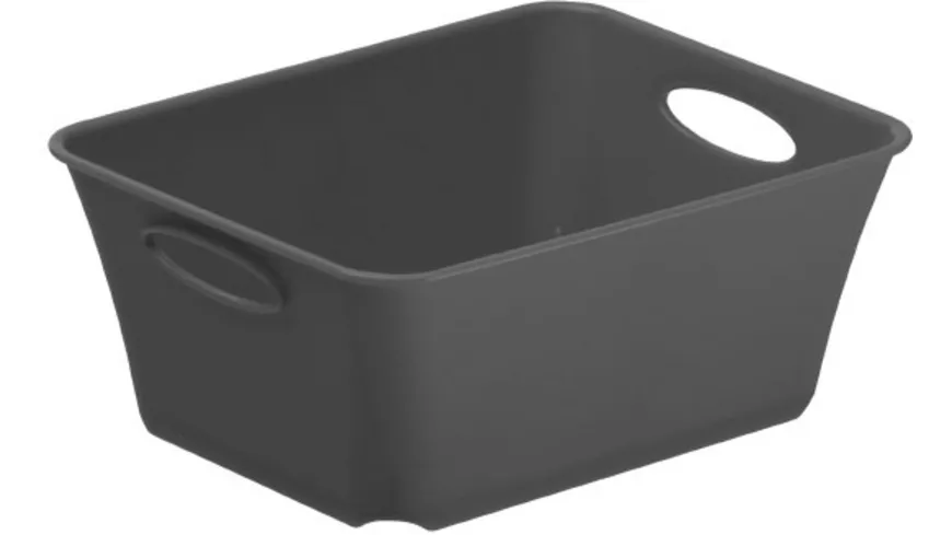 rotho Aufbewahrungsbox Livingbox 0,5l Anthrazit