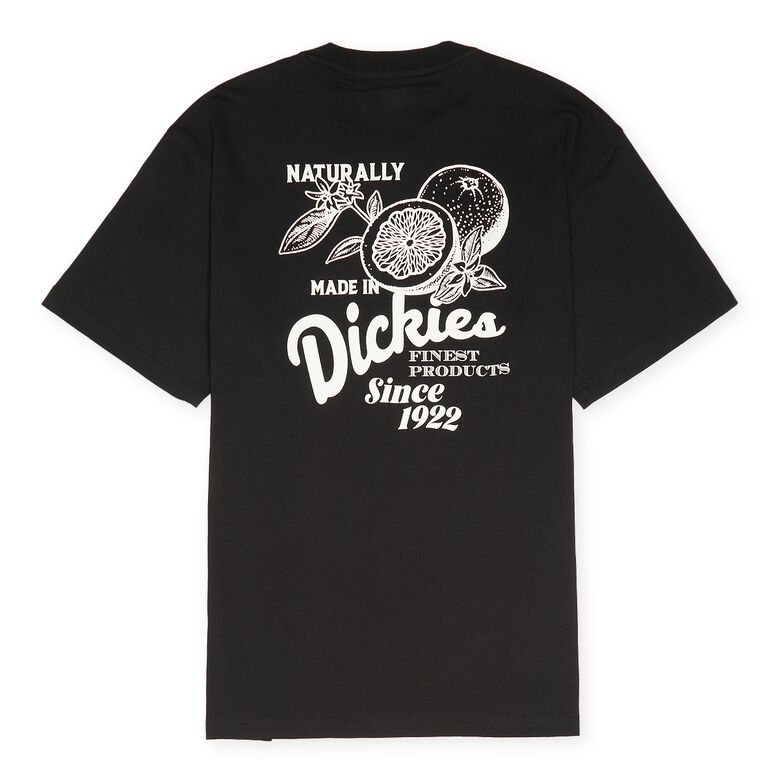 Dickies Raven Tee Short Sleeve Black schwarz