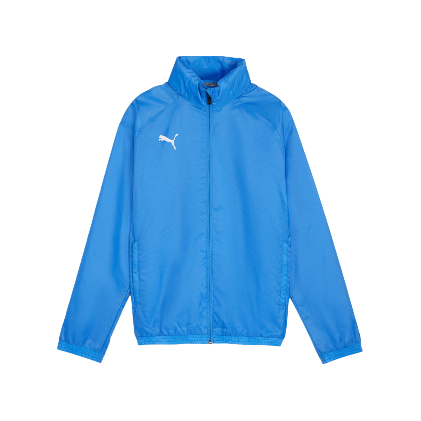 PUMA teamGOAL Allwetterjacke Kids Blau Weiss F02