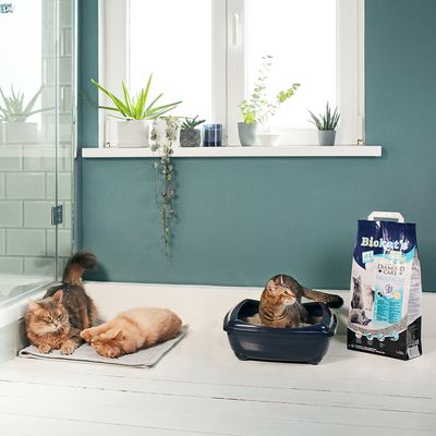 Biokat's Diamond Care MultiCat Fresh Katzenstreu