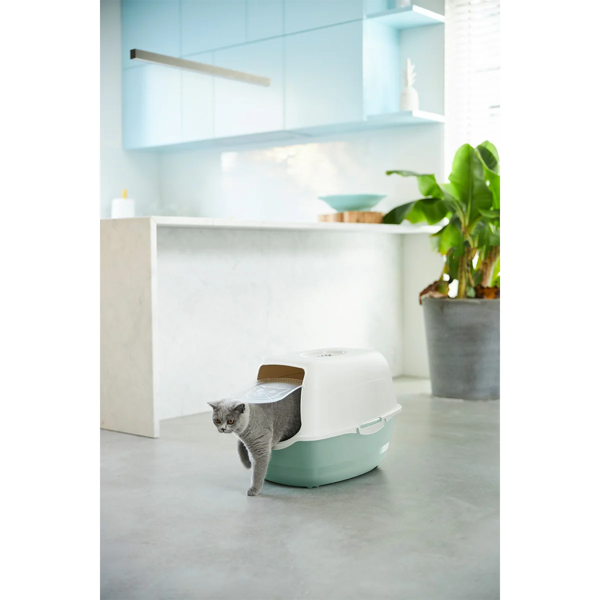 Rotho MyPet Katzentoilette Eco Bailey günstig kaufen