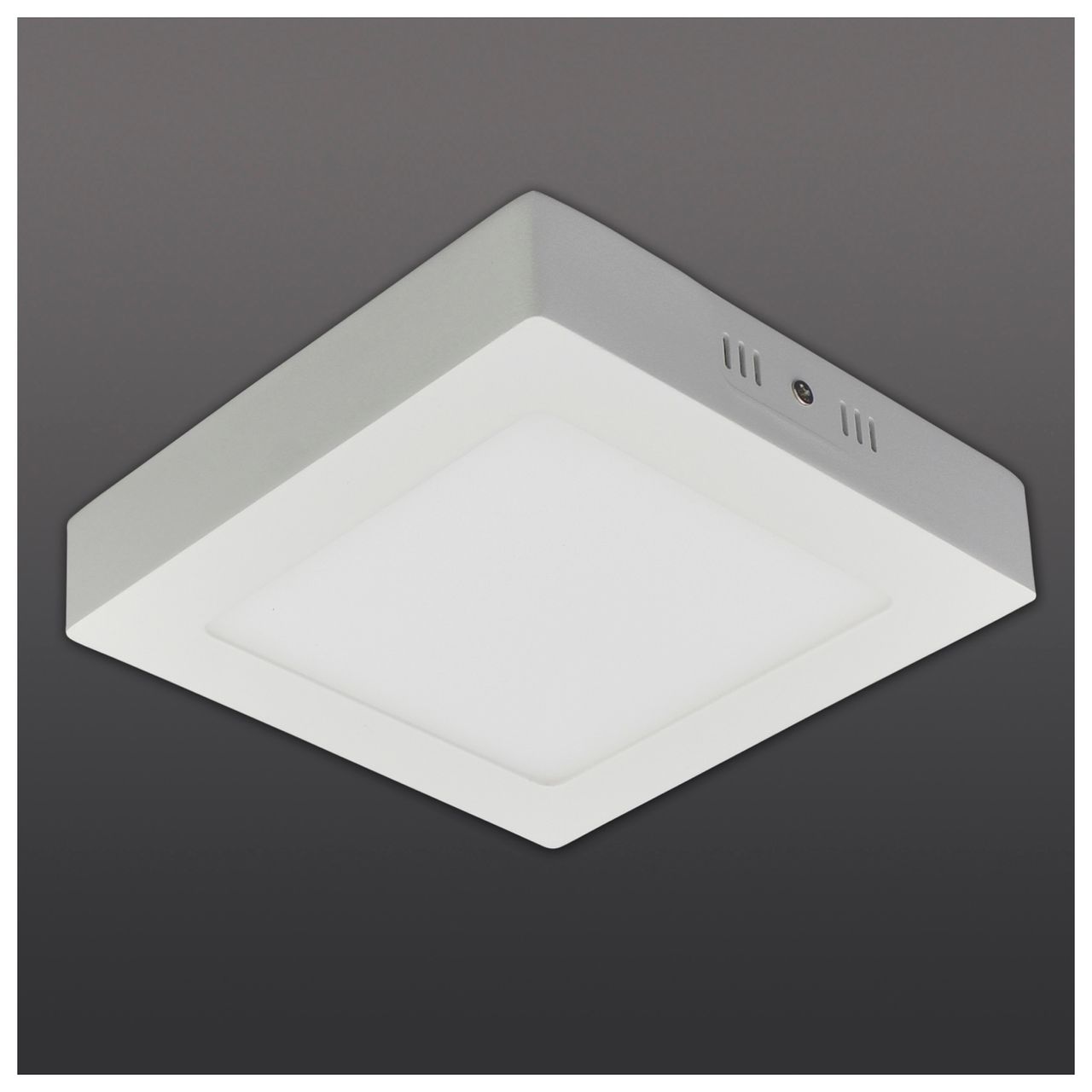 Näve Leuchten LED Deckenleuchte 
