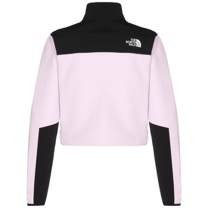 The North Face Denali Crop Hoodie Damen