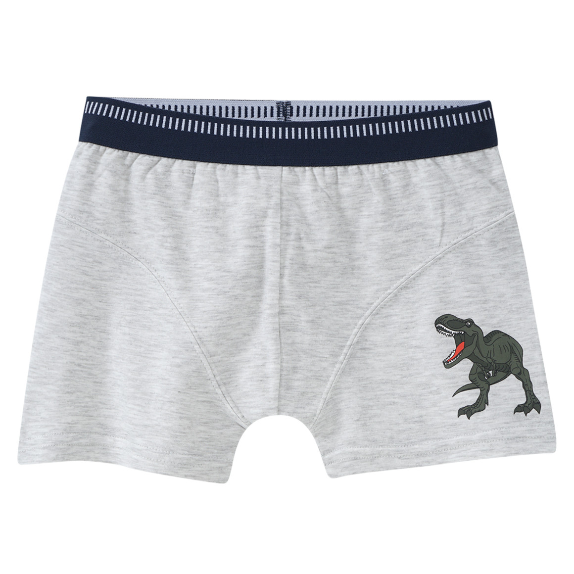3 Jungen Boxer mit Dino-Motiven