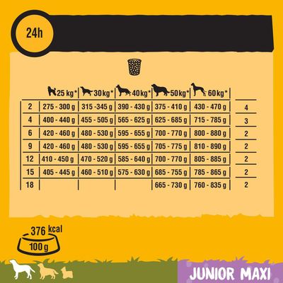 Pedigree Junior Maxi mit Huhn & Reis