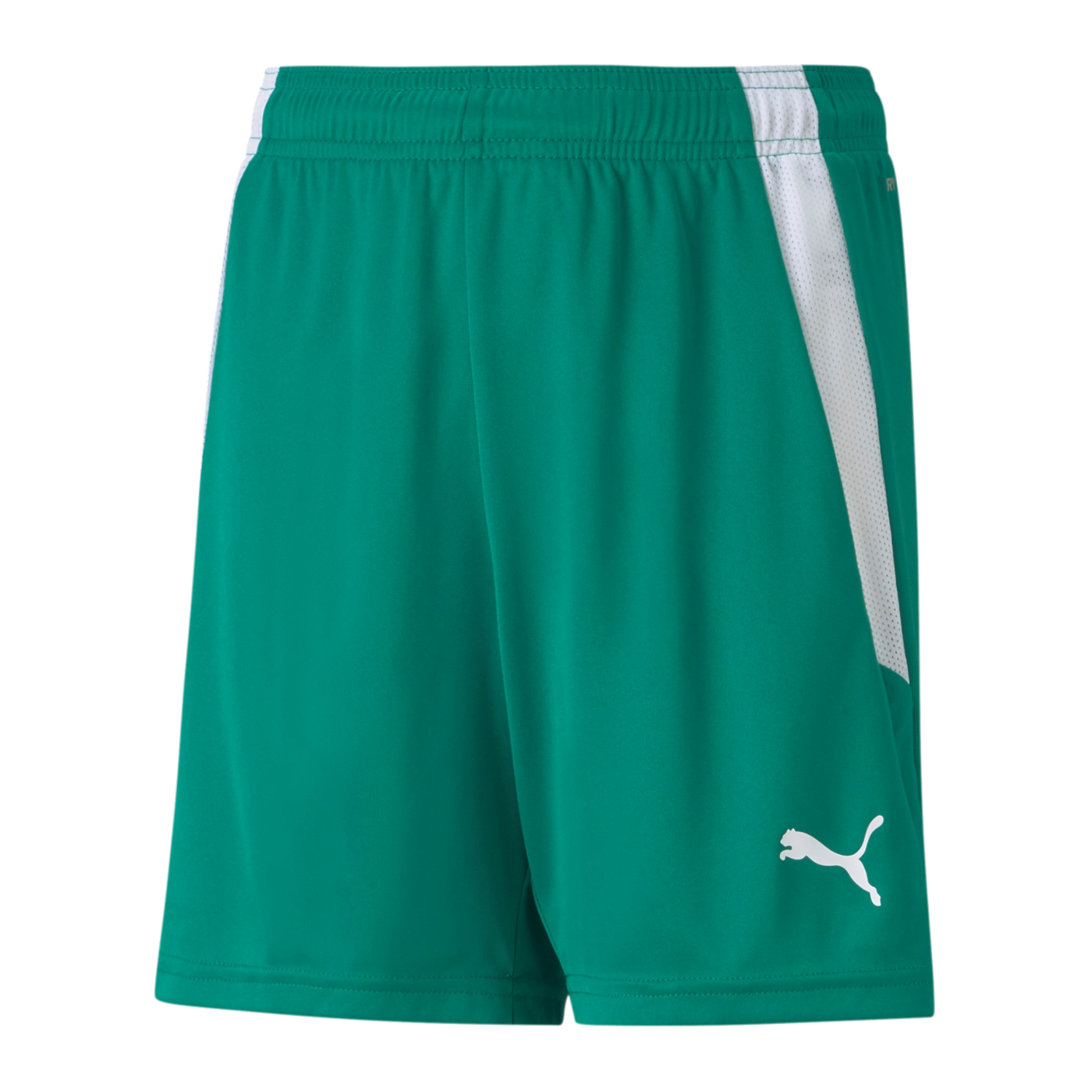 PUMA teamLIGA Short Kids Grün Weiss F05
