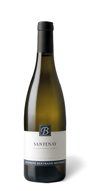 Bourgogne Domaine Bertrand Bachelet  Santenay  2019  75 cl - Blanc