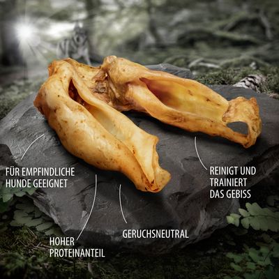 Wolf of Wilderness – Premium Hirschohren