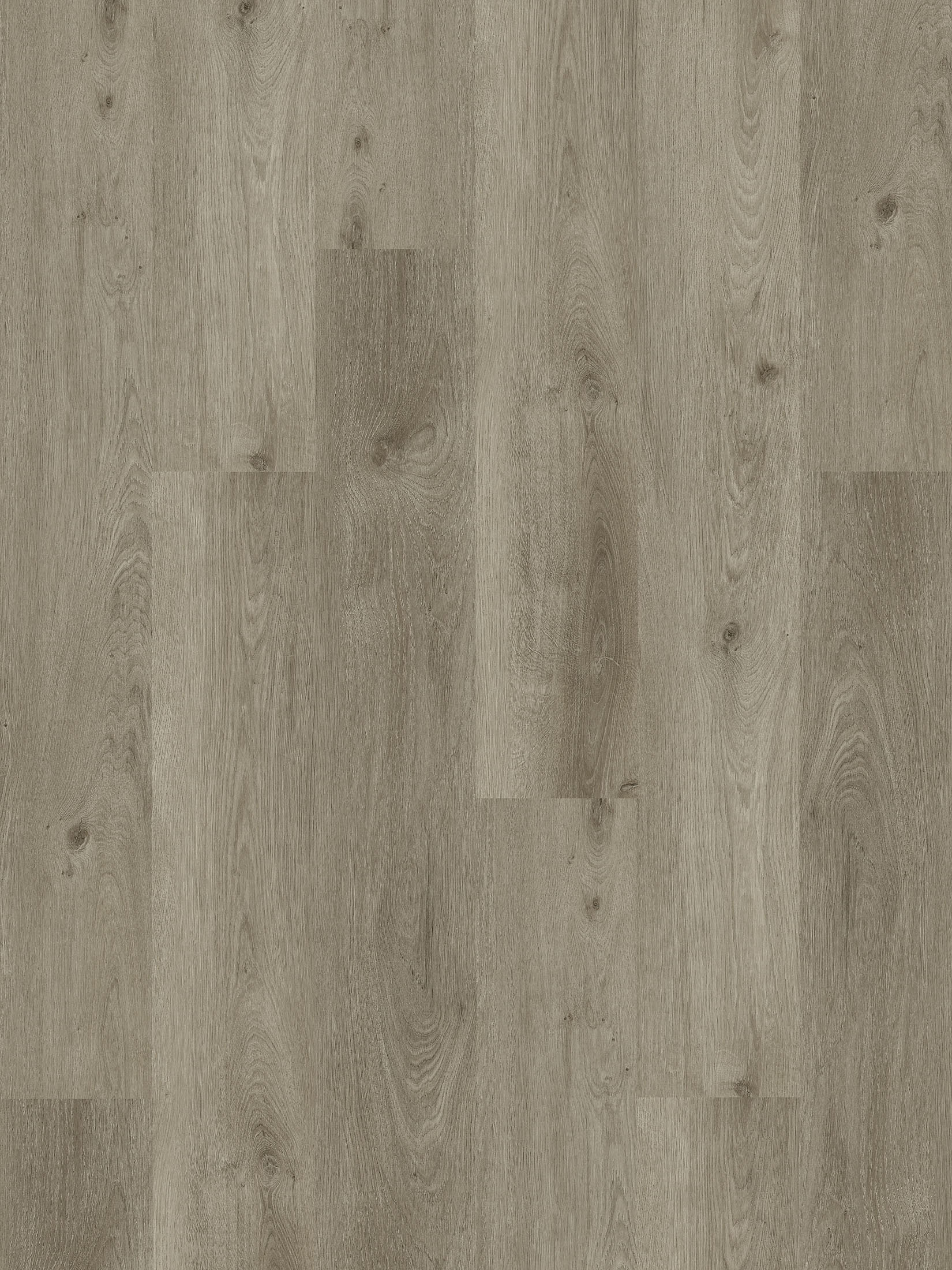 Whisper Wood Vinylboden, Polar Oak 10552