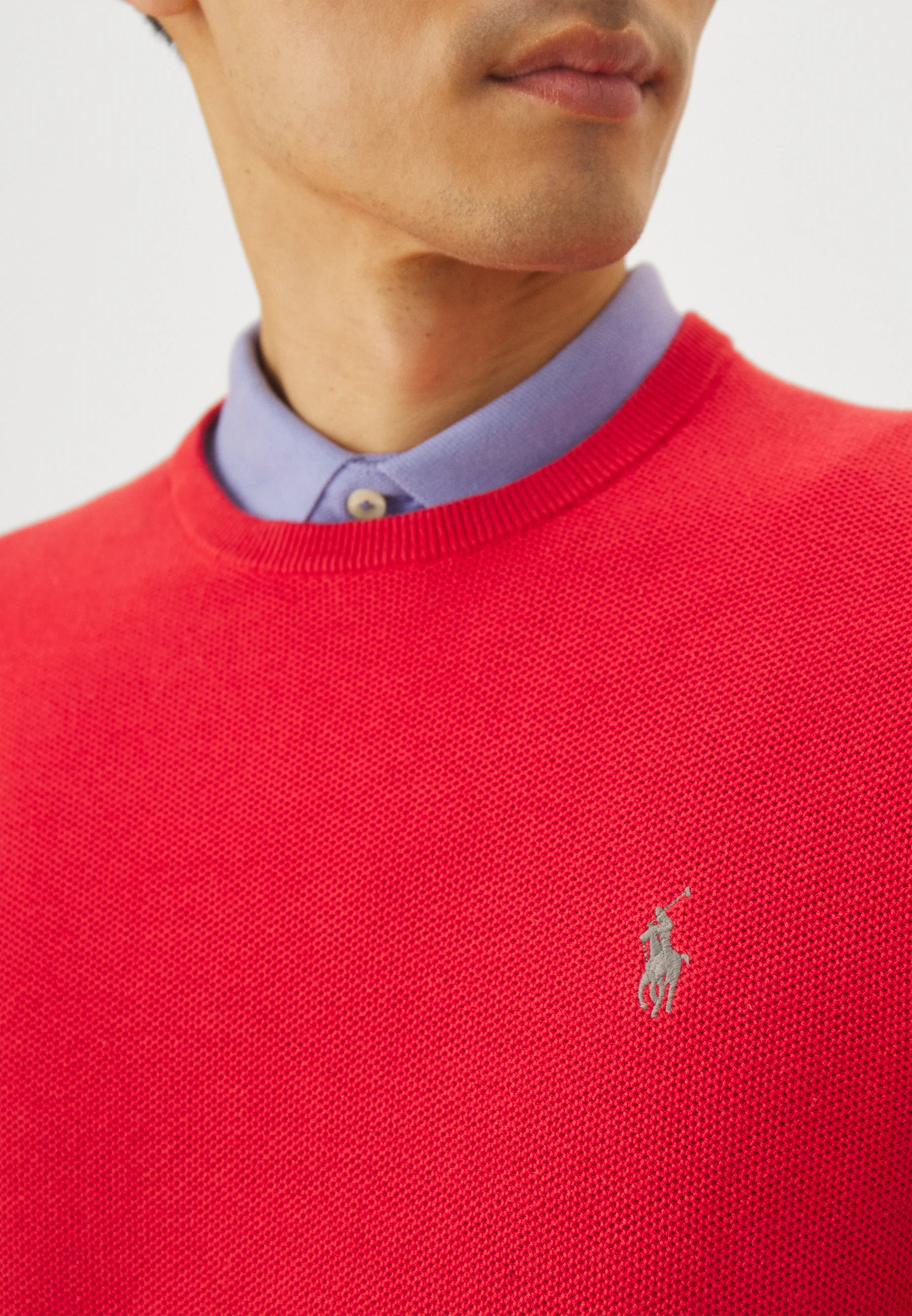 Polo Ralph Lauren MANGA LARGA - Suéter