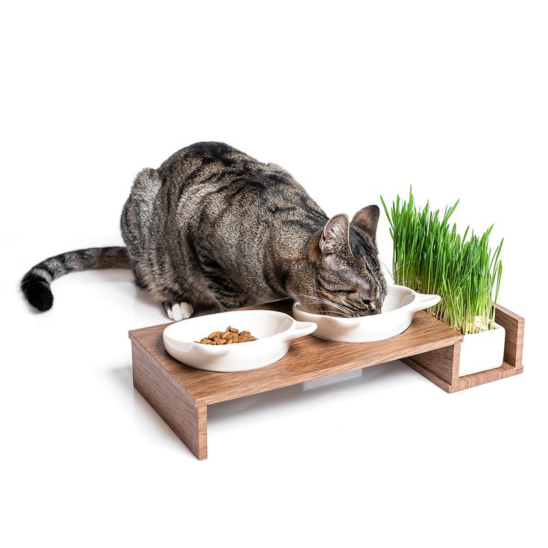 CanadianCat Company Futterbar Cat Diner zu TOP-Preisen | bitiba %