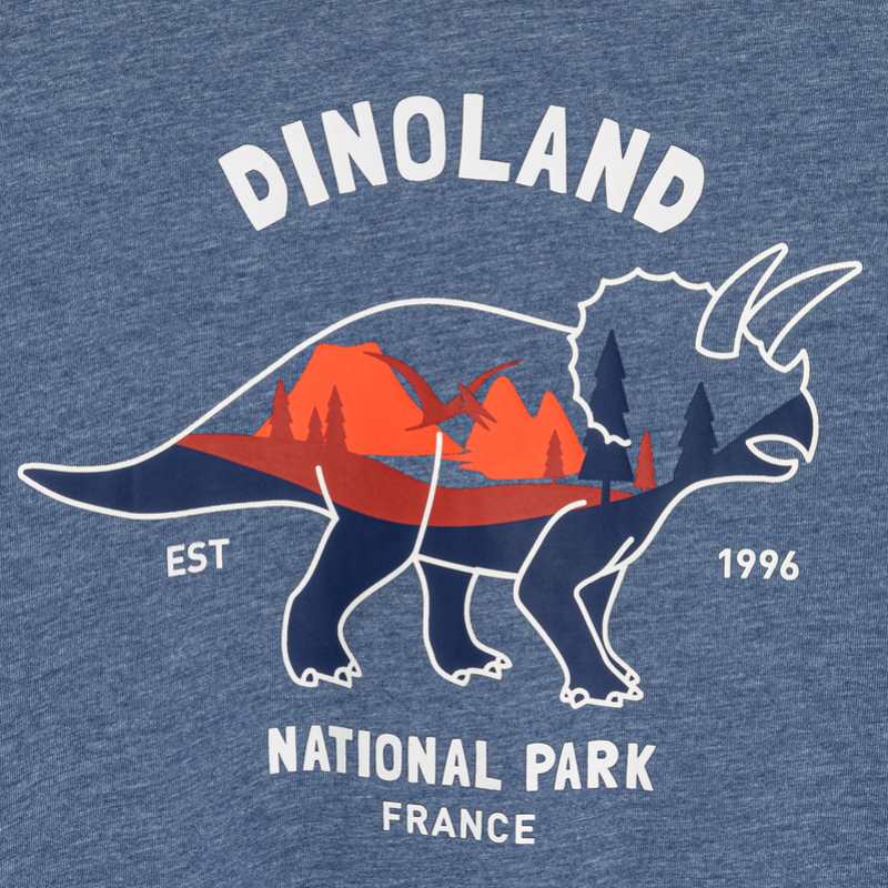 T-shirt manches longues motif dinosaure bleu garçon