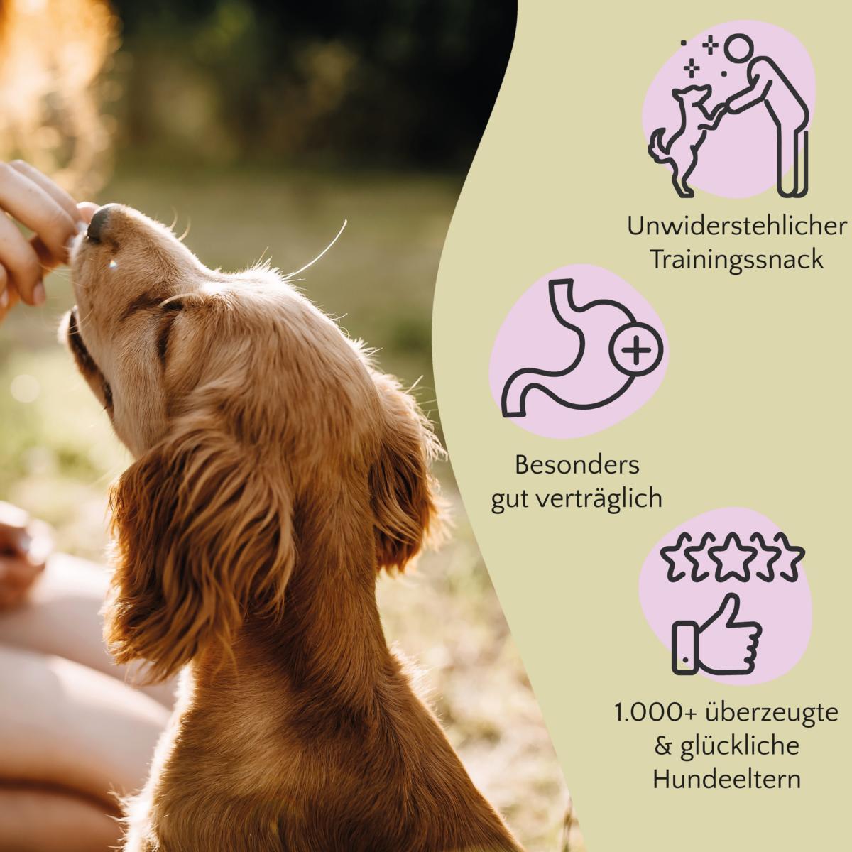 FAVLY Petfood Snacks FAVLY Petfood PURE Bites Lamm 360 g