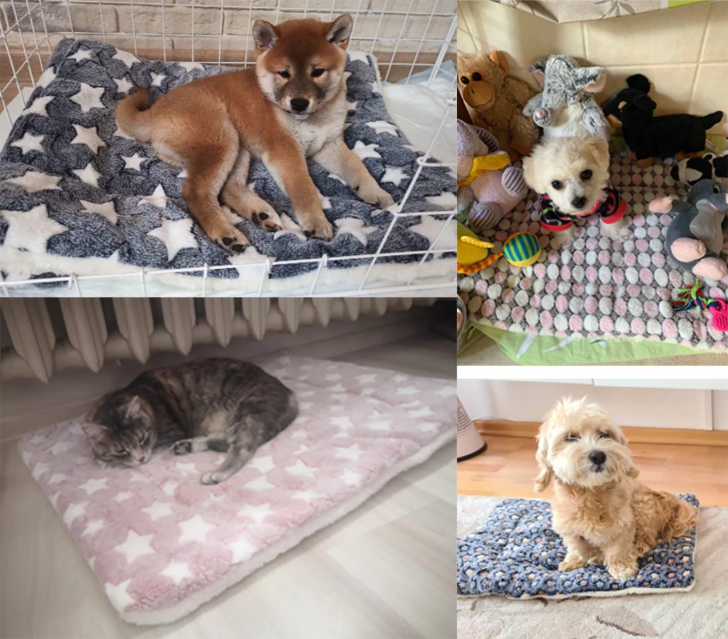 TPFLiving Tierdecke Wärmedecke für Hunde und Katzen - gemütliche warme Hundedecken, Katzendecken - Kuschelig Weich und Warm - Verschiedene Modelle