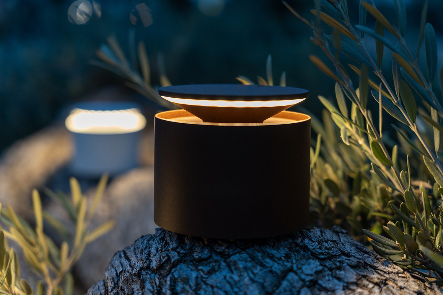 Zafferano LED Tischleuchte Push Up Pro, LED fest integriert, Gemütlich Warmweiß, Warmweiß, Neutralweiß, Druck- und Touchsteuerung