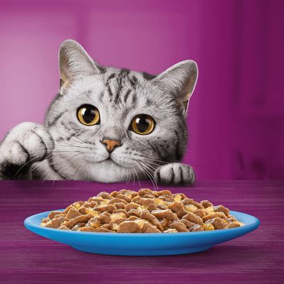 Jumbopack Whiskas 1+ Adult Frischebeutel 96 x 85 g