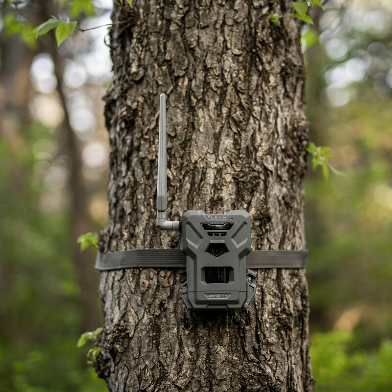 Spypoint Wildkamera Flex M &ndash; Twin Pack