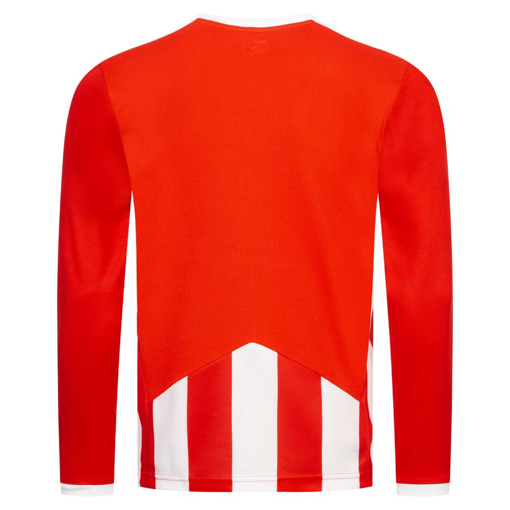 PUMA Striped Herren Langarm Trikot 702086-01
