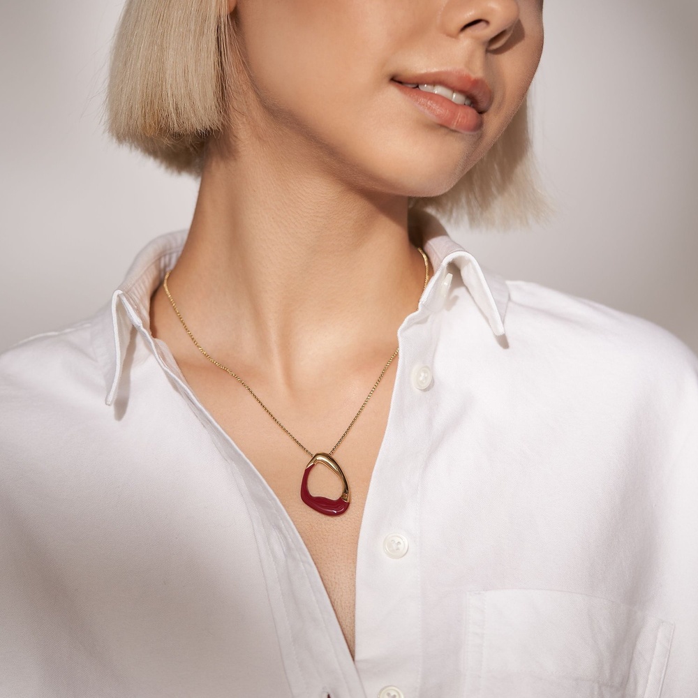 Skagen Chaînette Acier inoxydable, Émail collier