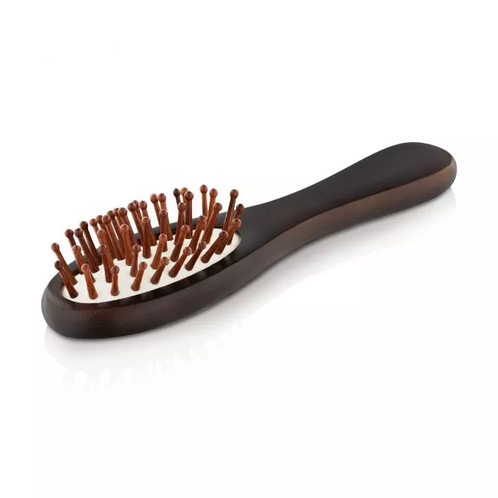 Reisebürste Travel Brush