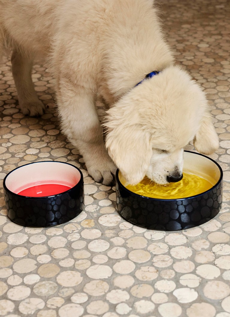 Ciotola di fieno per cani di piccola taglia